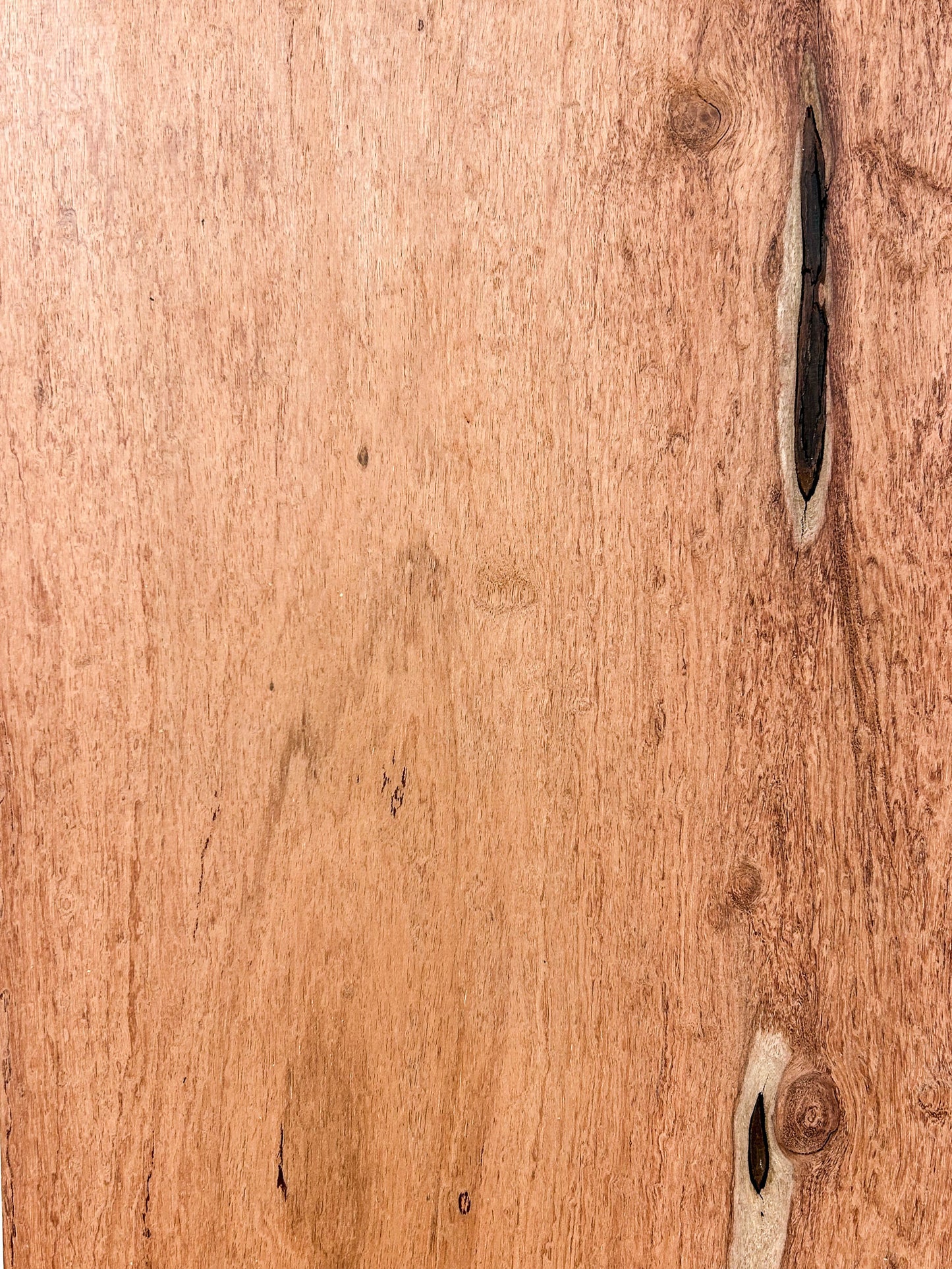 Rosewood, African(Zambian)/Guibourtia coleosperma - 24"x 11.5"x 1" WE1058