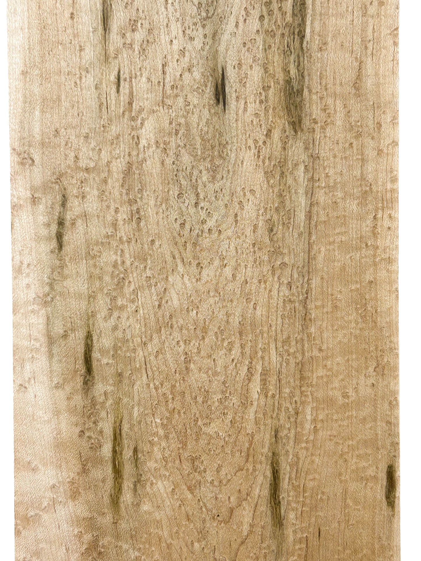 Maple Birdseye Figured/CURLY Board - 36" x 6" x 3/4" WE1066