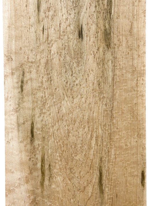 Maple Birdseye Figured/CURLY Board - 36" x 6" x 3/4" WE1066