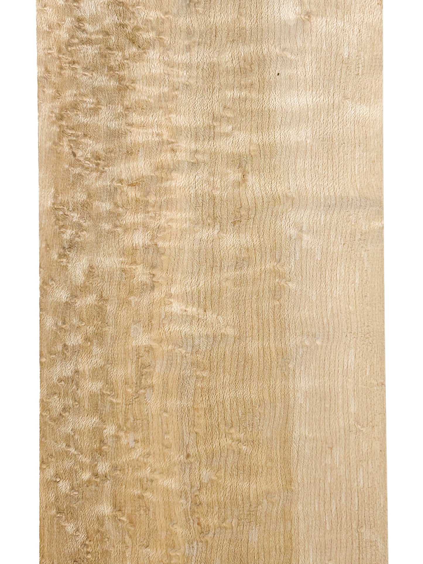 Maple Birdseye Figured/CURLY Board - 36" x 5" x 3/4" WE1067