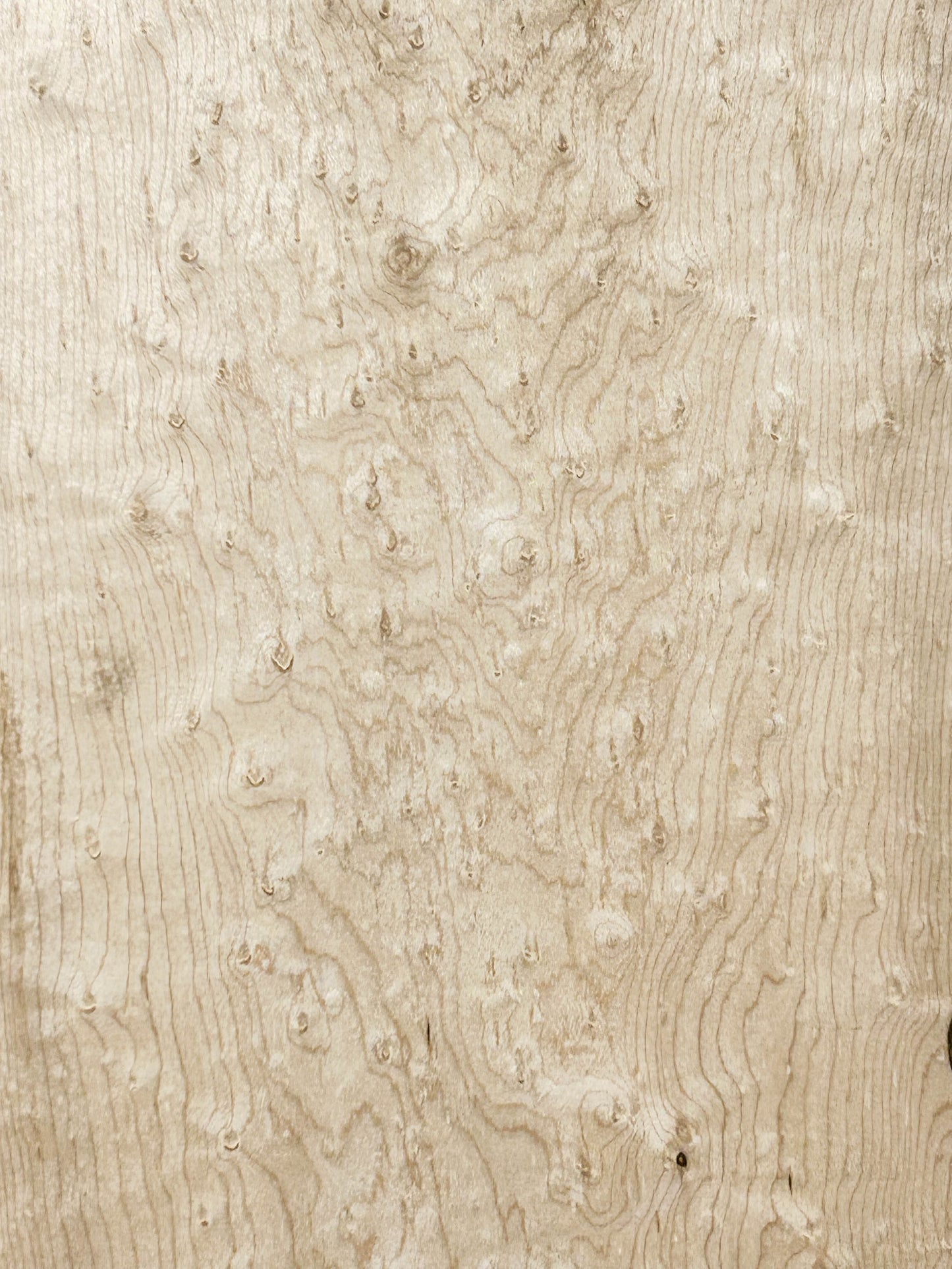 Maple Birdseye Figured/CURLY Board - 36" x 9.5" x 3/4" WE1071