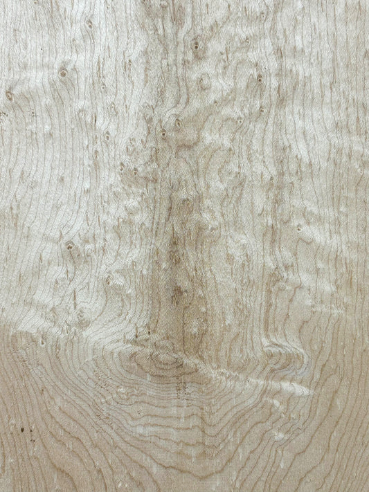 Maple Birdseye Figured/CURLY Board - 28" x 9.5" x 3/4" WE1073
