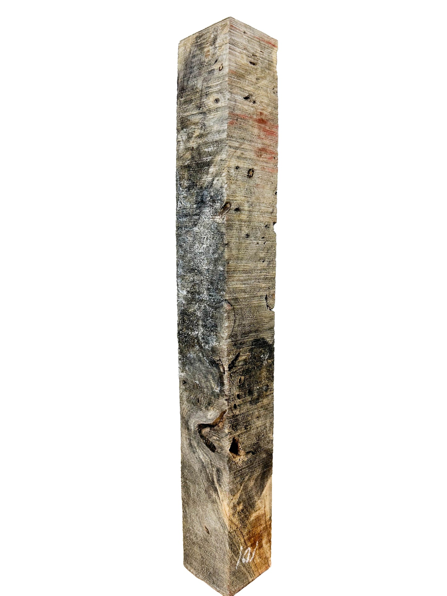 Stabilized Buckeye Burl - 14" x 1.75" x 1.75" WE1084