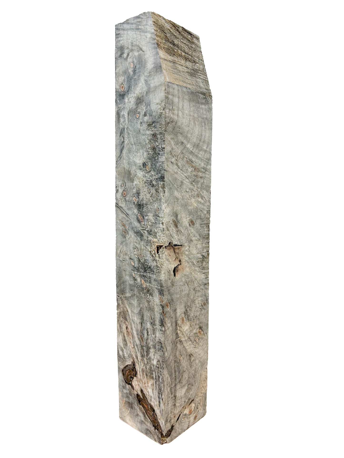 Stabilized Buckeye Burl - 13" x 2.75" x 2.5" WE1085