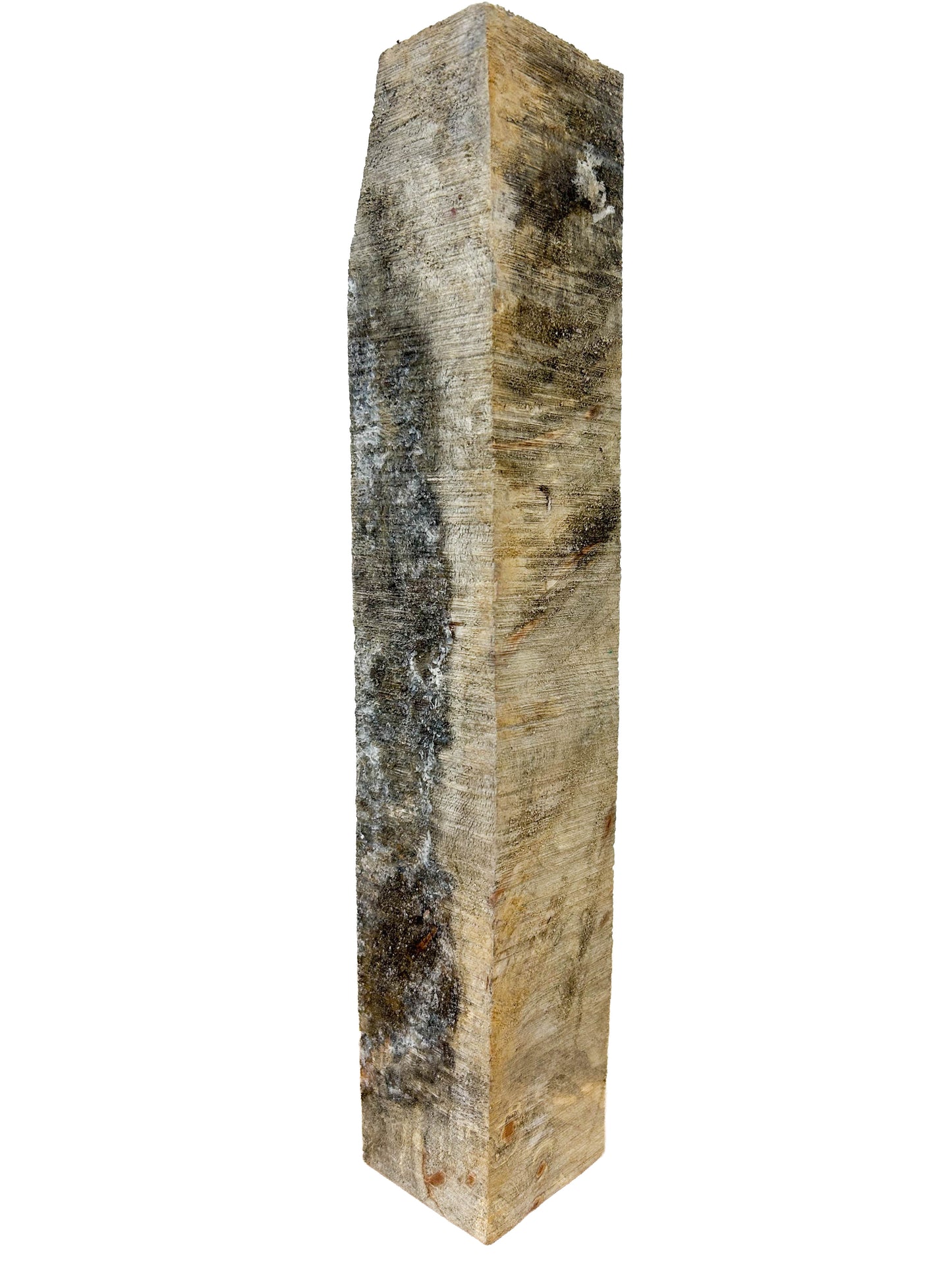 Stabilized Buckeye Burl - 13" x 2.75" x 2.5" WE1085