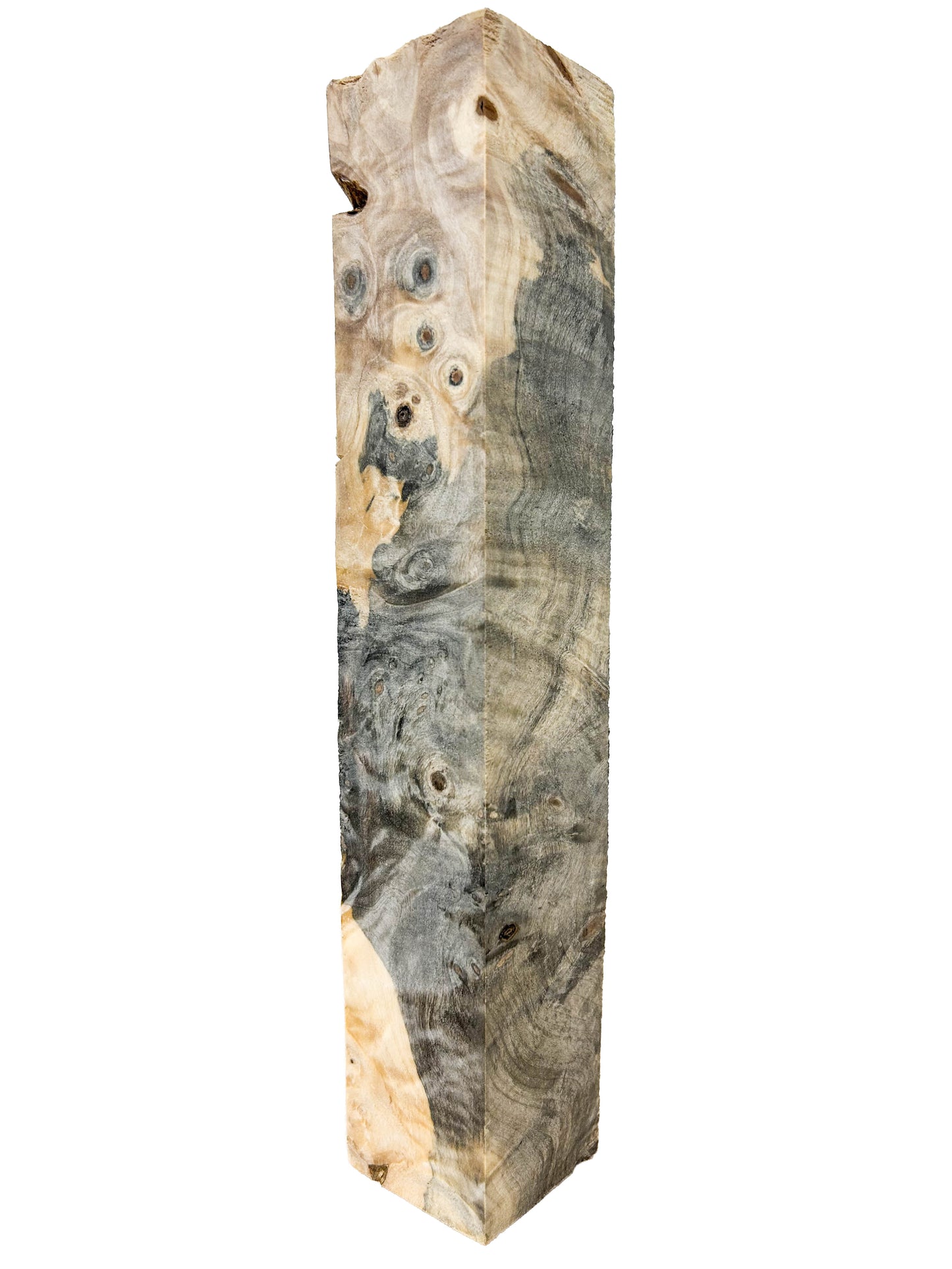 Stabilized Buckeye Burl - 10.5" x 1-7/8" x 1-7/8" WE1087