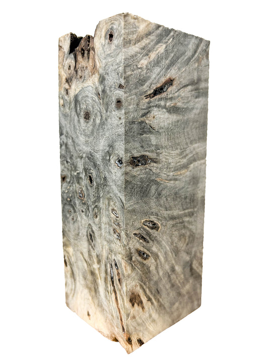 Stabilized Buckeye Burl - 5-7/8" x 2-3/8" x 2-1/8" WE1088