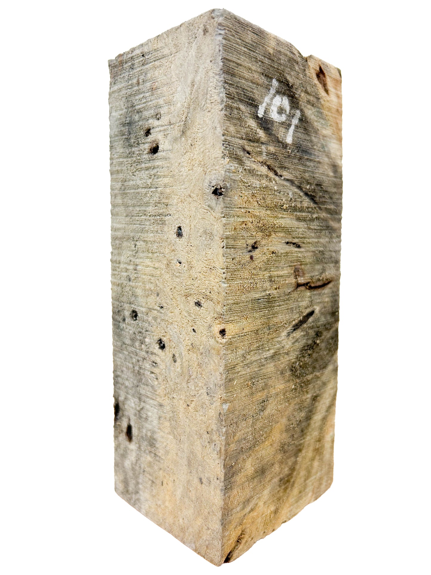 Stabilized Buckeye Burl - 5-7/8" x 2-3/8" x 2-1/8" WE1088