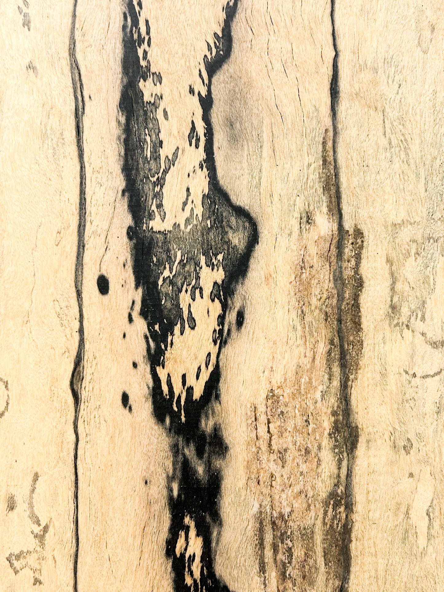 Ebony, Black & White/Pale Moon Striking lumber - 21.5" x 7-1/8" x 1.75" WE1092