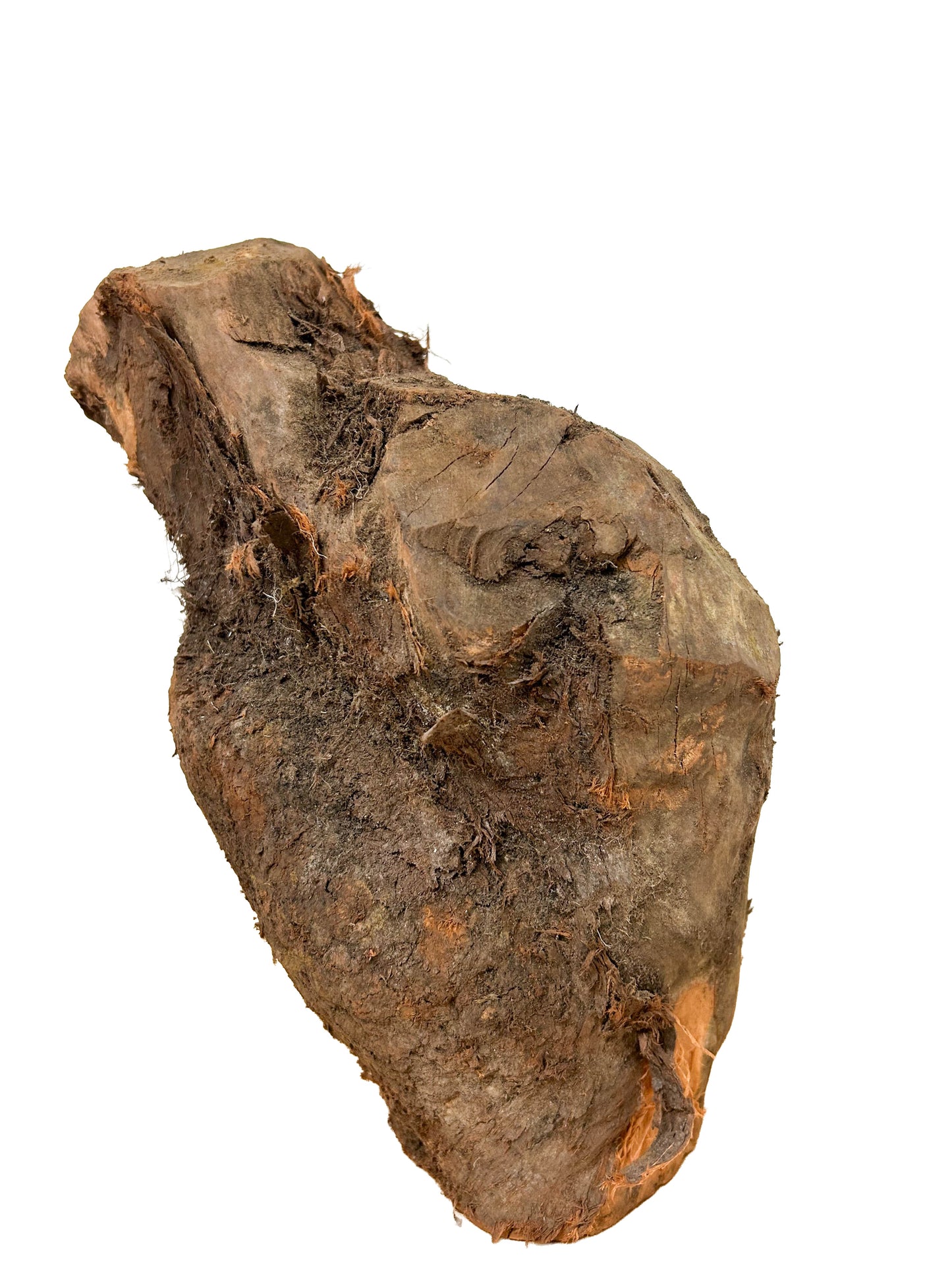 Briar, European Pipe-making Burl XL - 8" x 7.5" x 13" WE1126