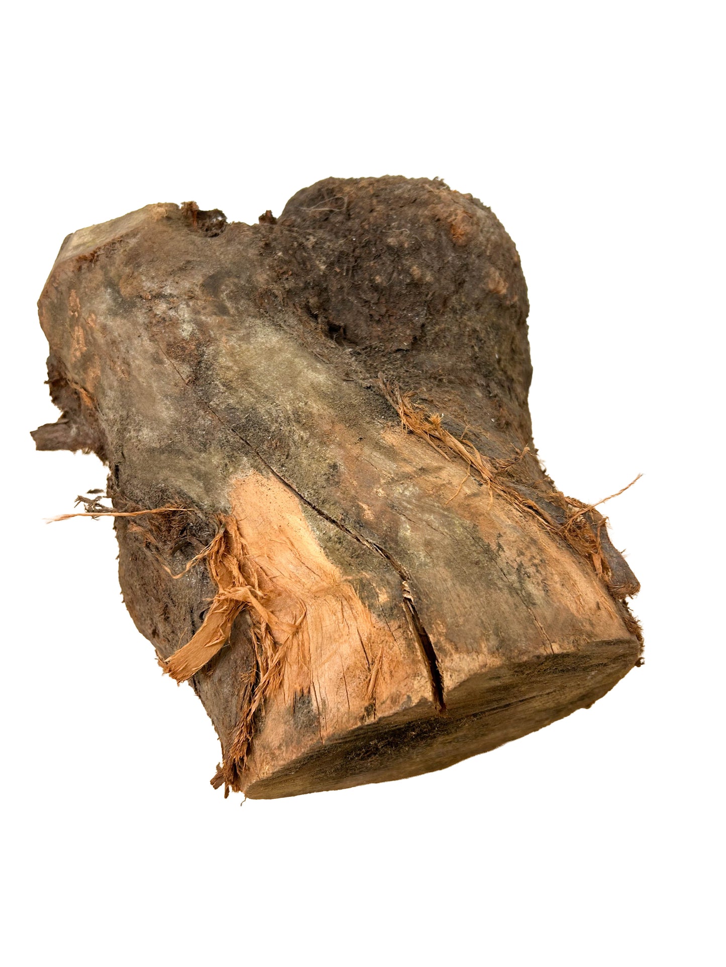 Briar, European Pipe-making Burl XL - 8" x 7.5" x 13" WE1126