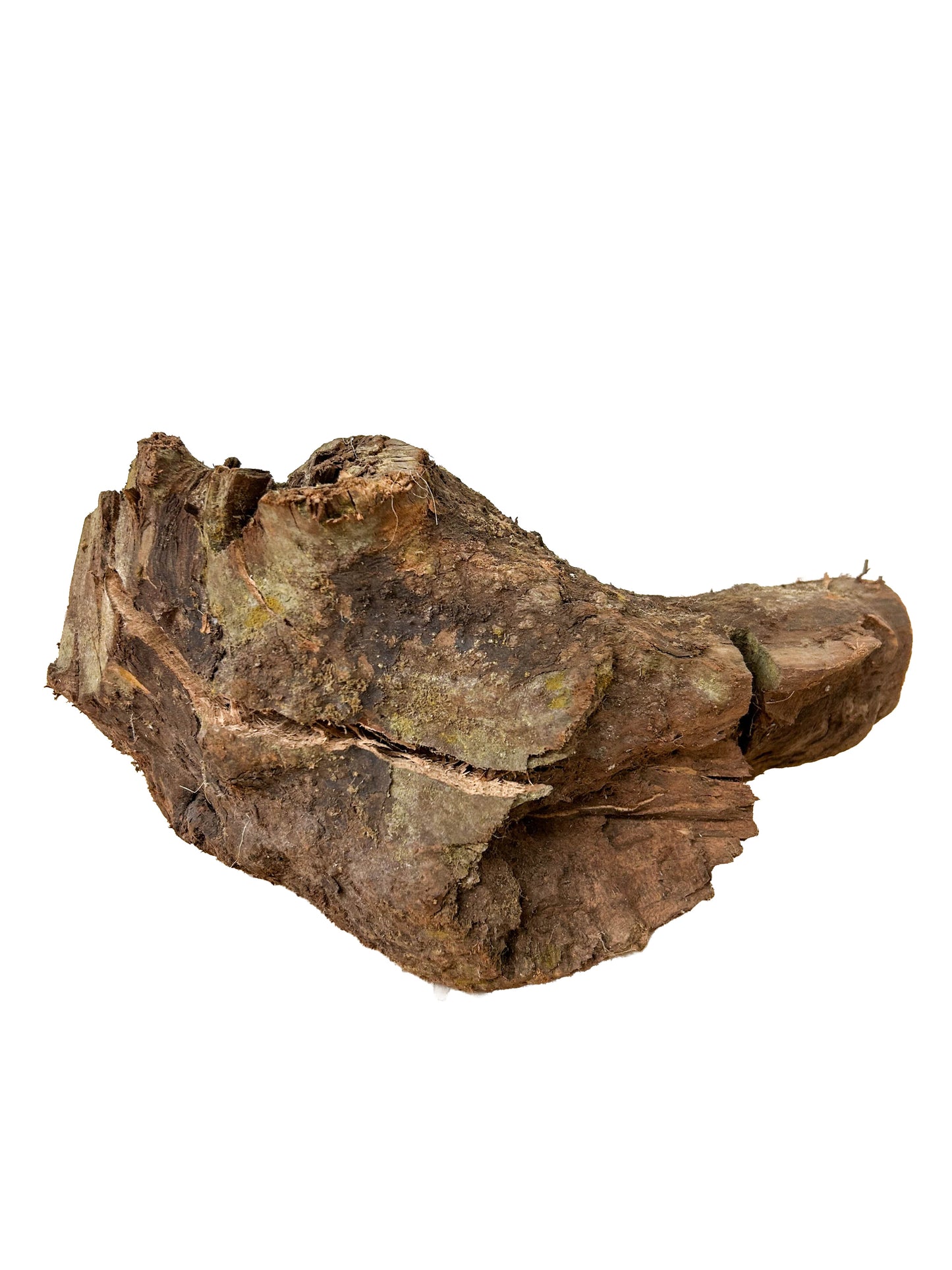 Briar, European Pipe-making Burl - 10" x 6" x 6" WE1137