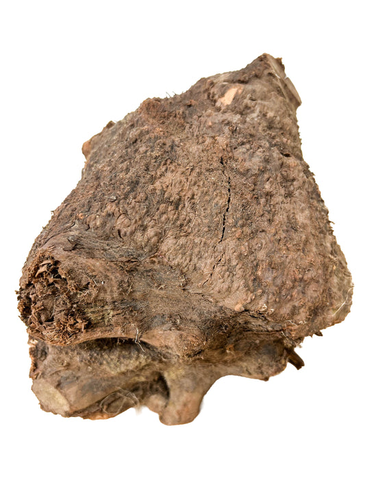 Briar, European Pipe-making Burl - 8" x 7.5" x 6.5" WE1138