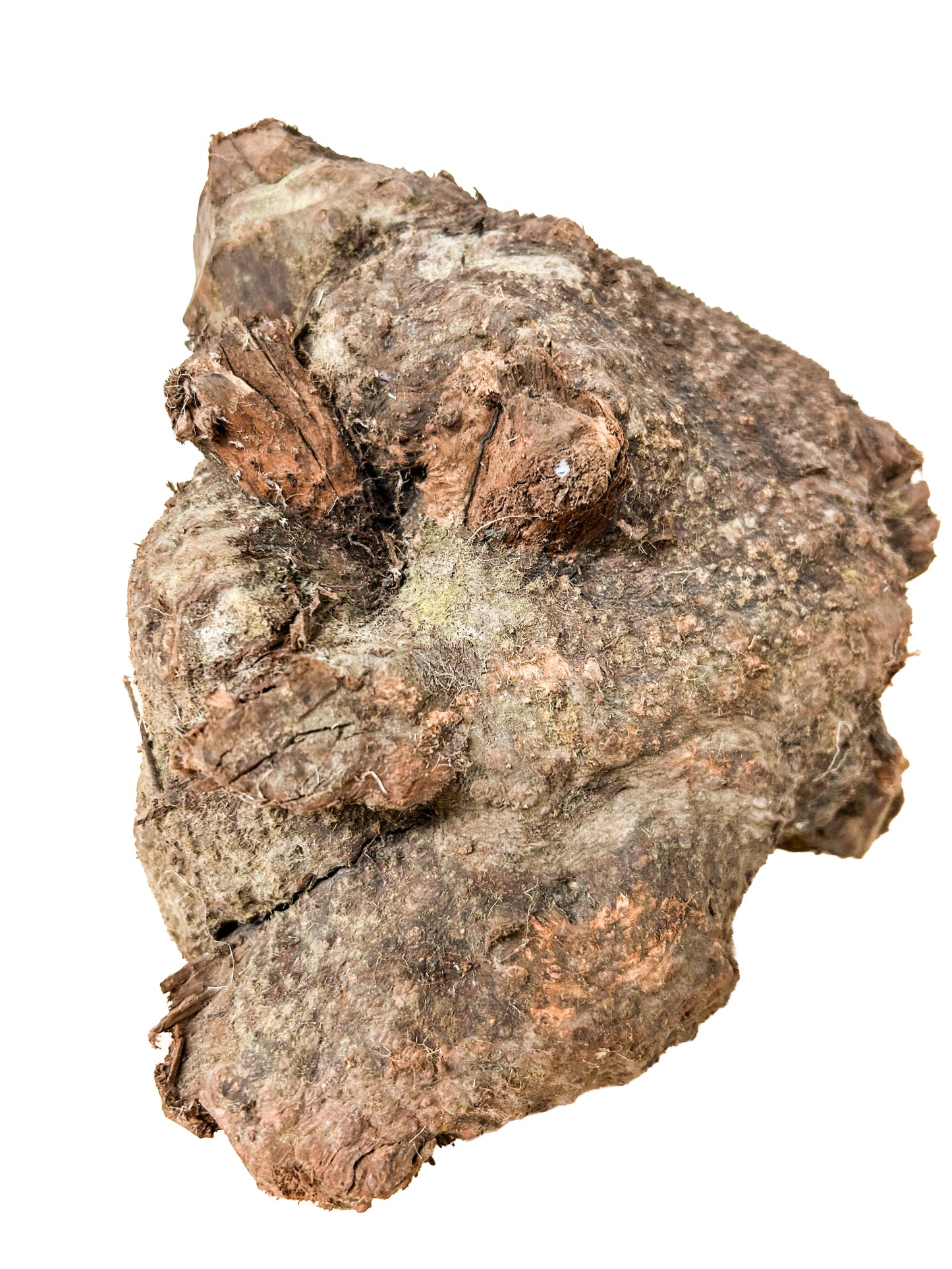 Briar, European Pipe-making Burl - 8" x 7.5" x 6.5" WE1138