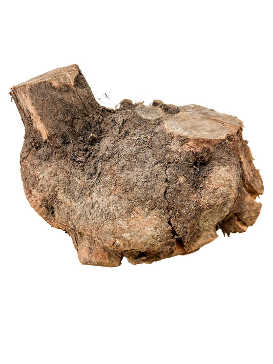 Briar, European Pipe-making Burl - 8" x 7.5" x 7" WE1139