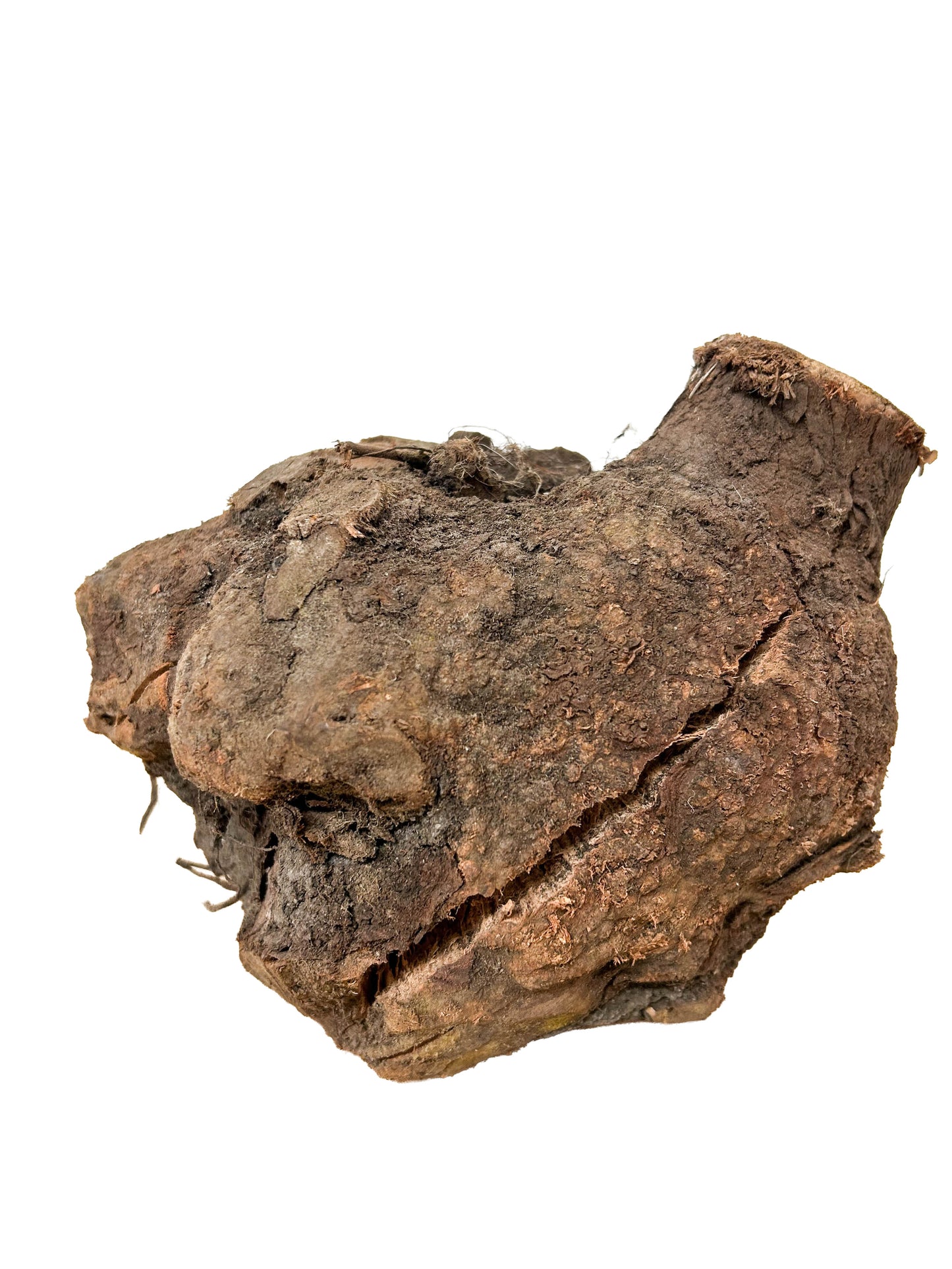 Briar, European Pipe-making Burl - 8" x 7.5" x 7" WE1139