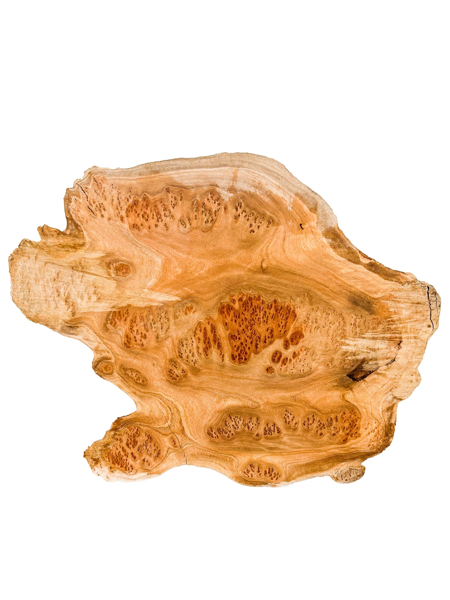 Australian Western Red Burl Cap/Bowl Blank - 13" x 10" x 3.5" WE1153