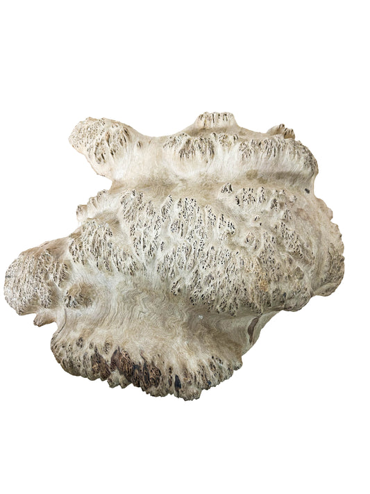 Australian Western Red Burl Cap/Bowl Blank - 13" x 10" x 3.5" WE1153