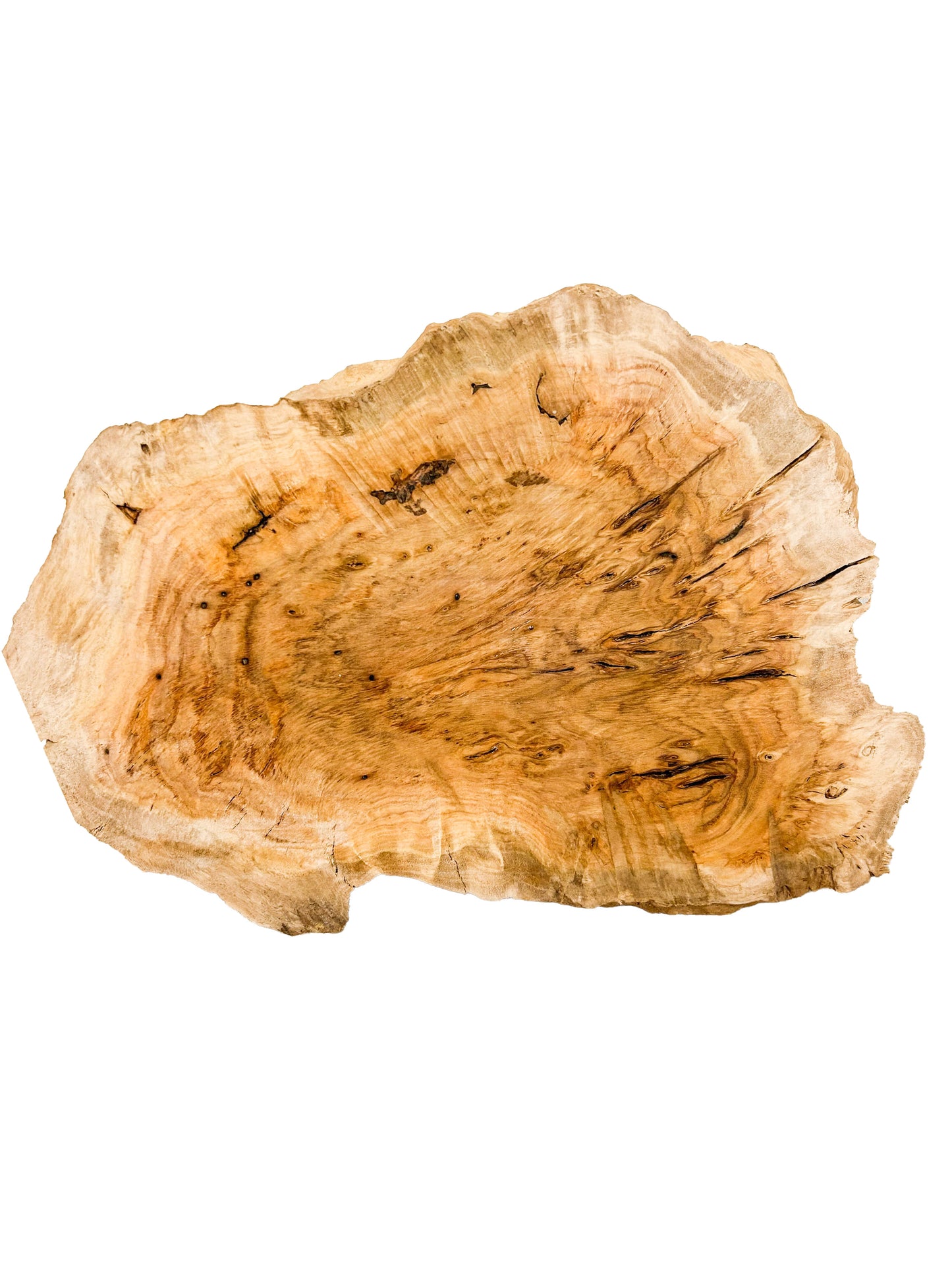 Australian Yellow Box Burl Cap/Bowl Blank - 12" x 9" x 4.25" WE1156