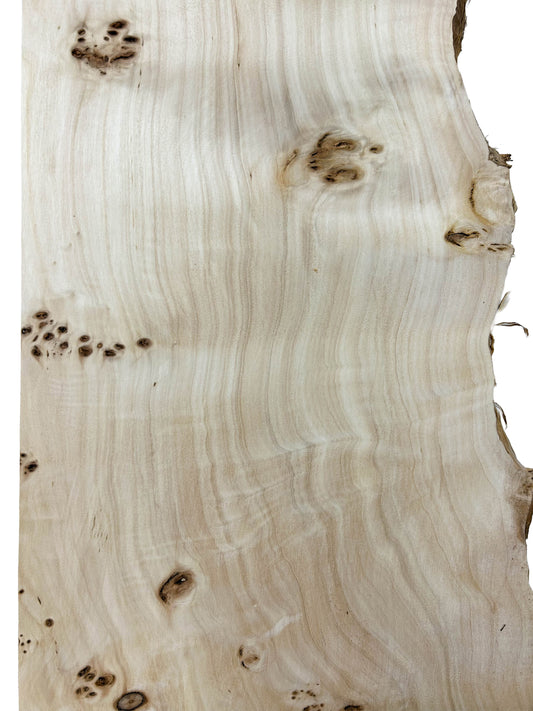 Mappa, European Burl LIVE EDGE - 48.5" x 11-13" x 3/4" - WE1164