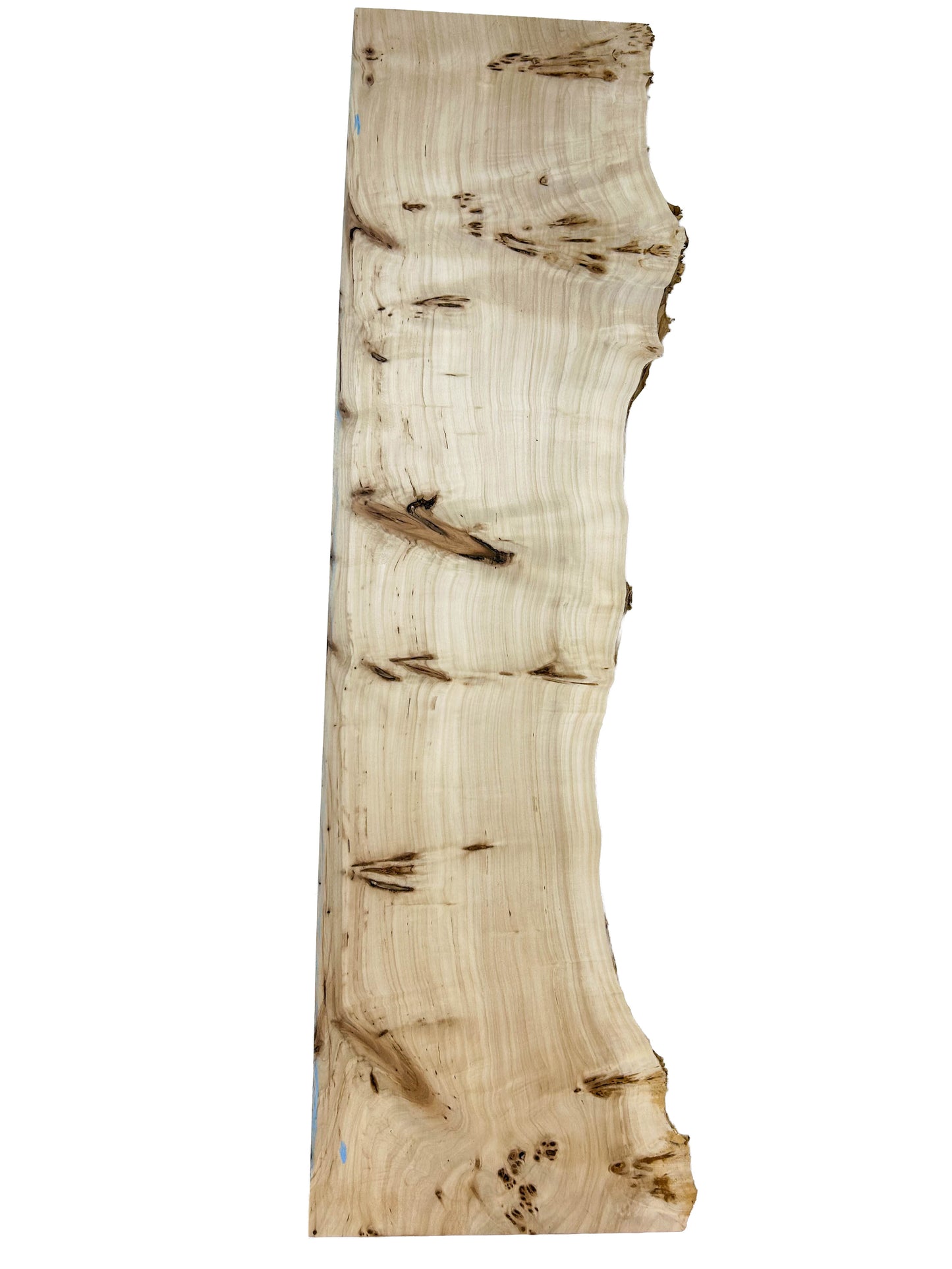Mappa, European Burl ONE LIVE EDGE - 36" x 7.5-13" x 3/4" - WE1171