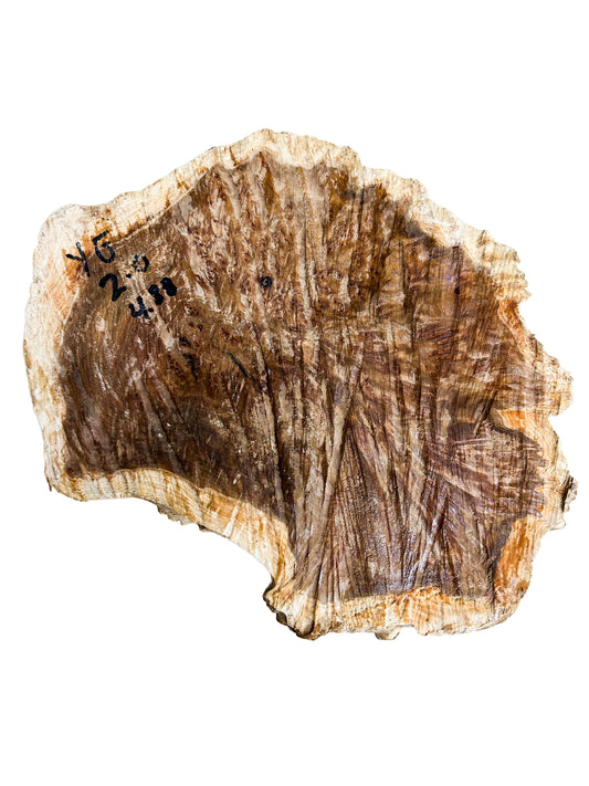 Western Australian York Gum Burl Cap/Bowl Blank - 9.5" x 7" x 2.5" WE1233