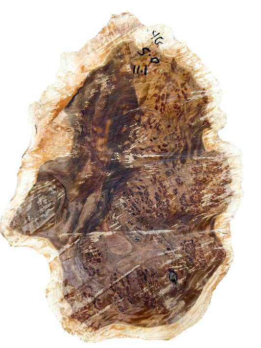 Western Australian York Gum Burl Cap/Bowl Blank - 14" x 10.5" x 4" WE1242