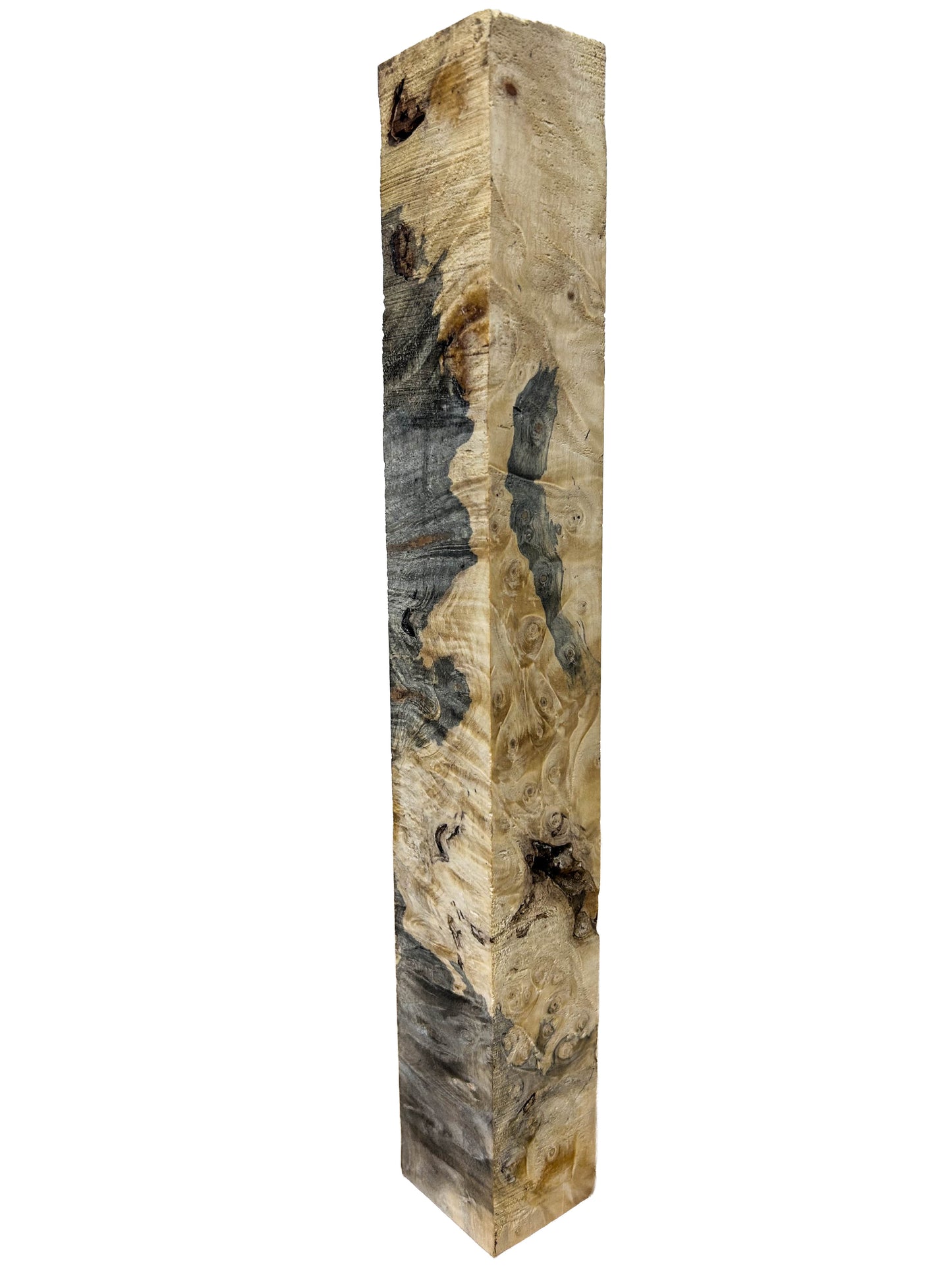 Stabilized Buckeye Burl - 14" x 1.5" x 1-7/8" WE1334