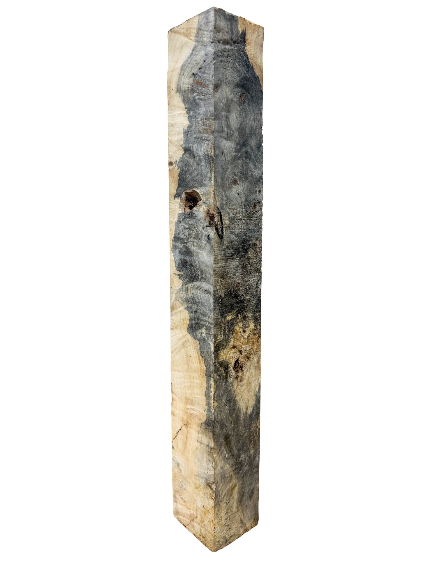 Stabilized Buckeye Burl - 14" x 1.5" x 1-7/8" WE1334