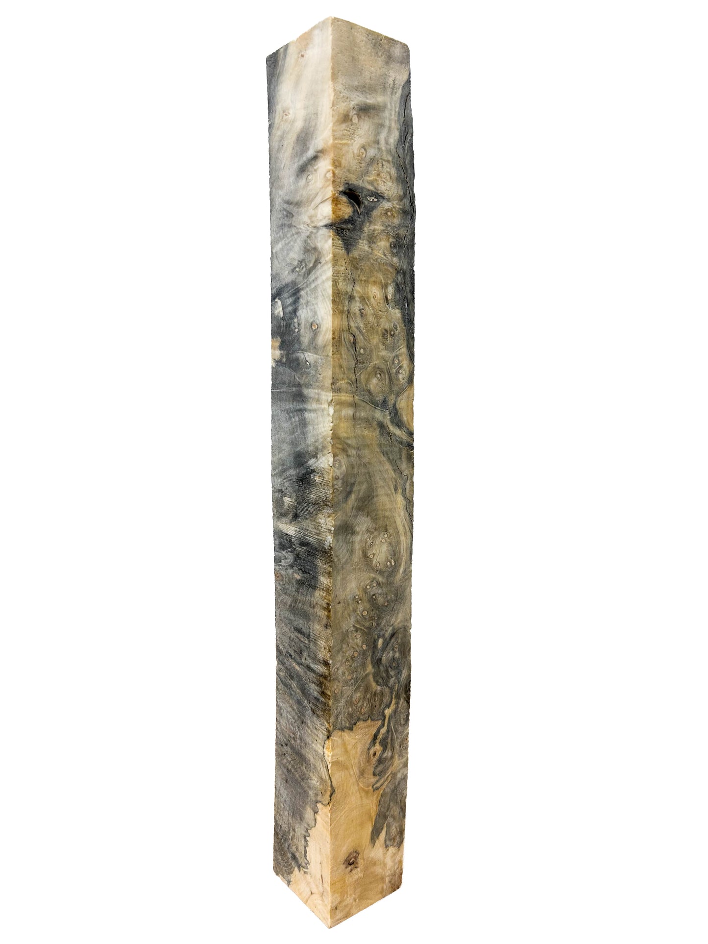 Stabilized Buckeye Burl - 15.75" x 1.75" x 1-7/8" WE1335