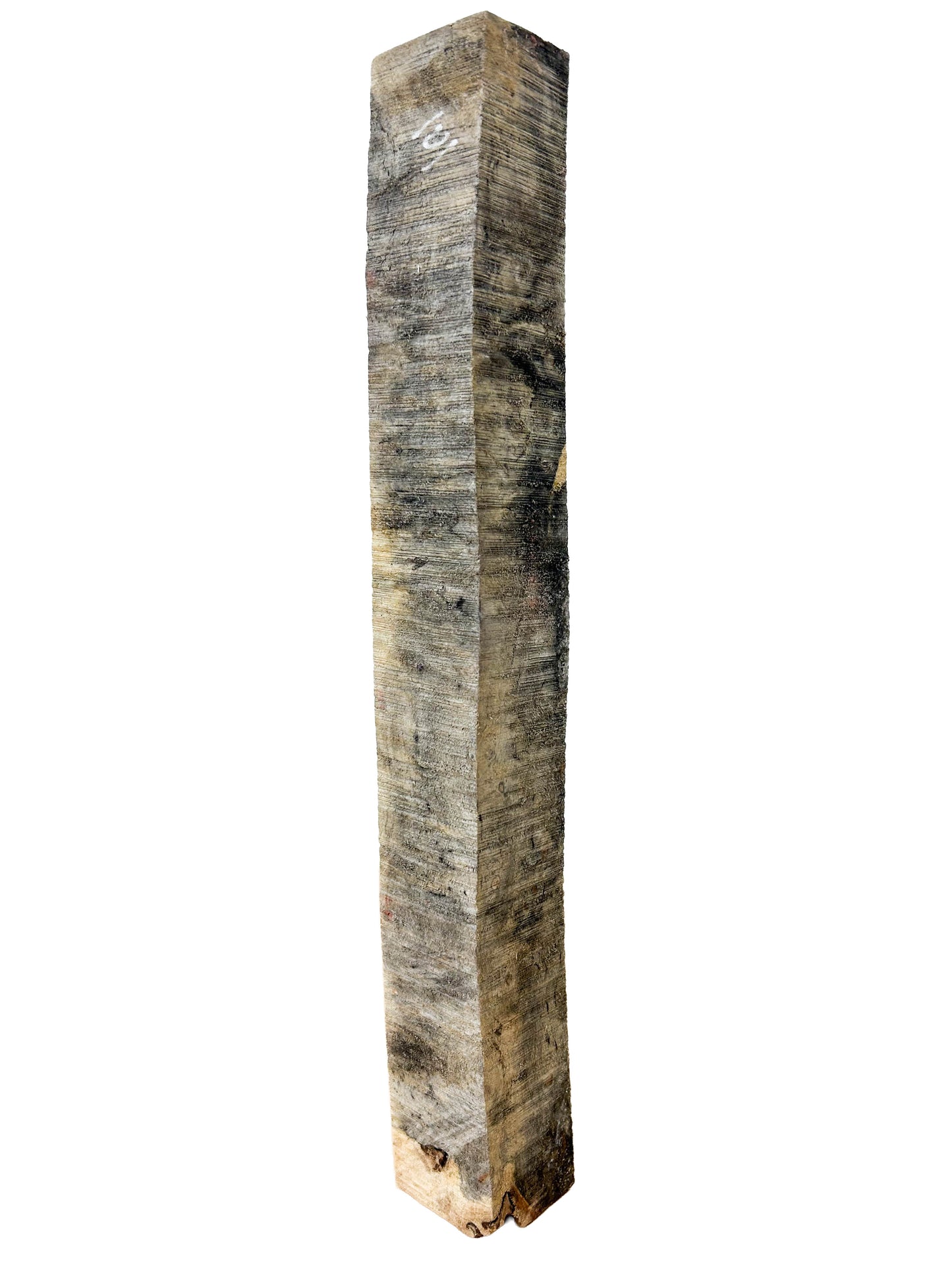 Stabilized Buckeye Burl - 15.75" x 1.75" x 1-7/8" WE1335