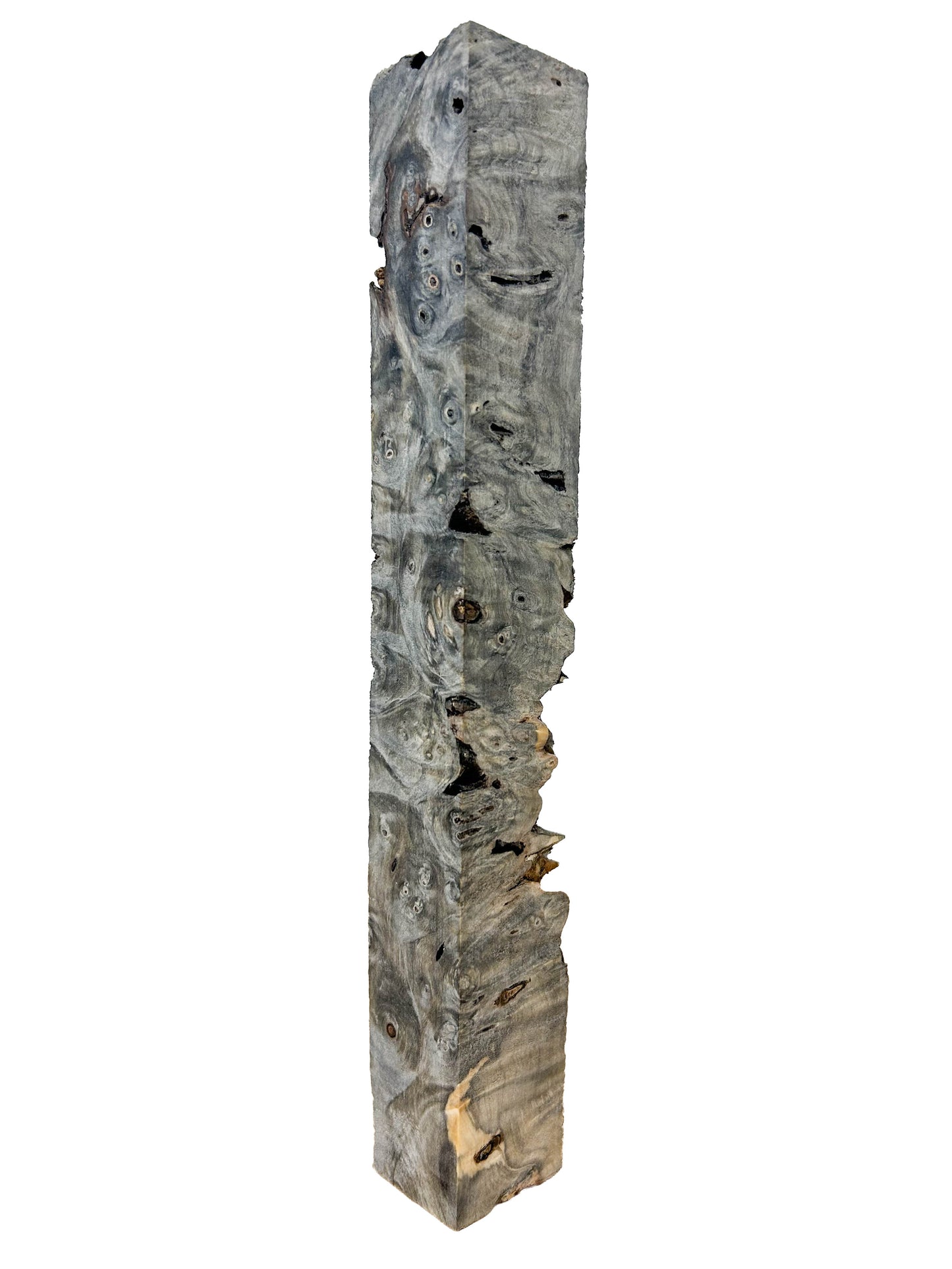Stabilized Buckeye Burl - 11" x 1.5" x 1.5" WE1337
