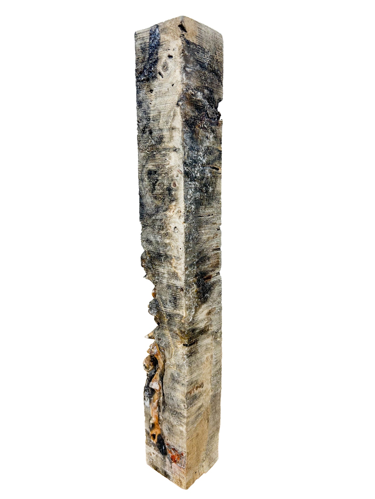 Stabilized Buckeye Burl - 11" x 1.5" x 1.5" WE1337