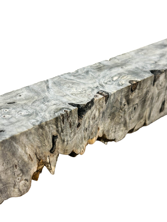 Stabilized Buckeye Burl - 11" x 1.5" x 1.5" WE1337
