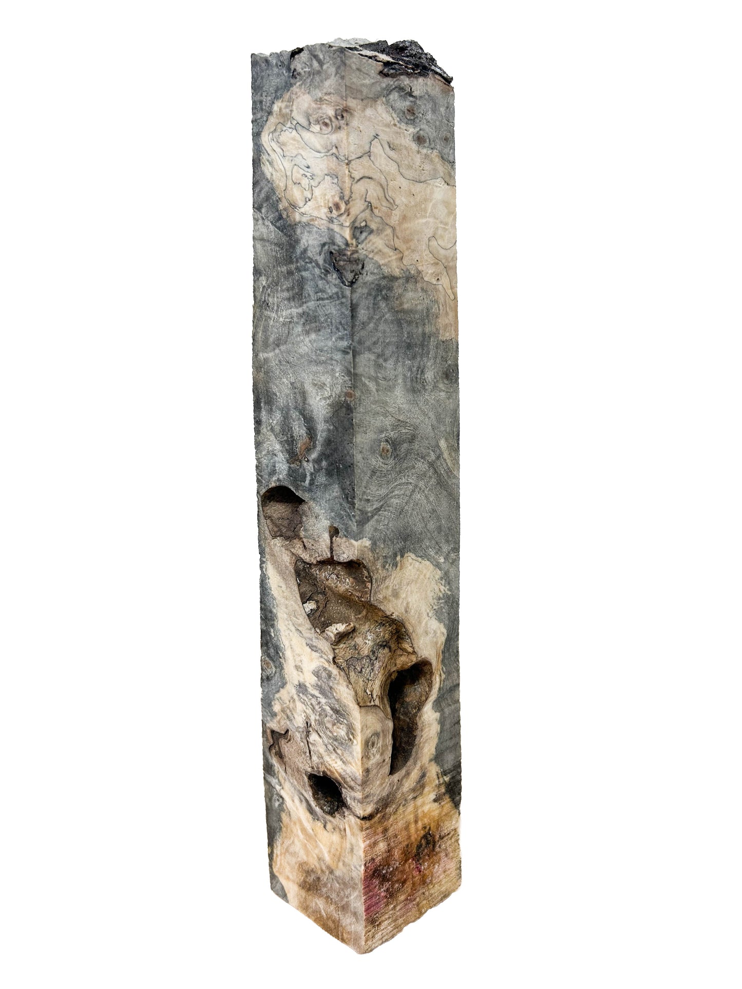 Stabilized Buckeye Burl - 11" x 2" x 1.75" WE1339