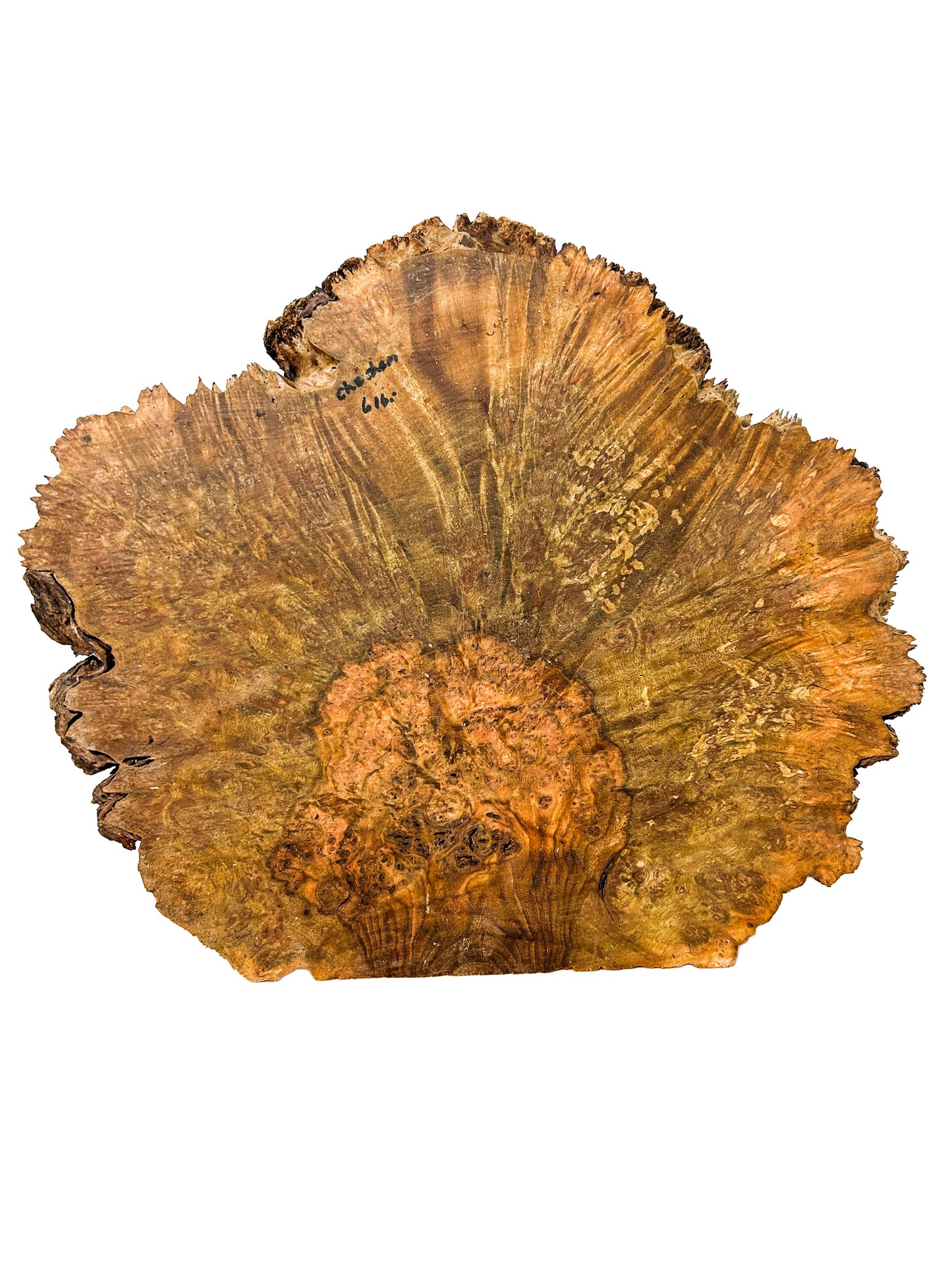 Chechen/Caribbean Rosewood Burl slice - 15"x 12"x 1-1/8" WE1352