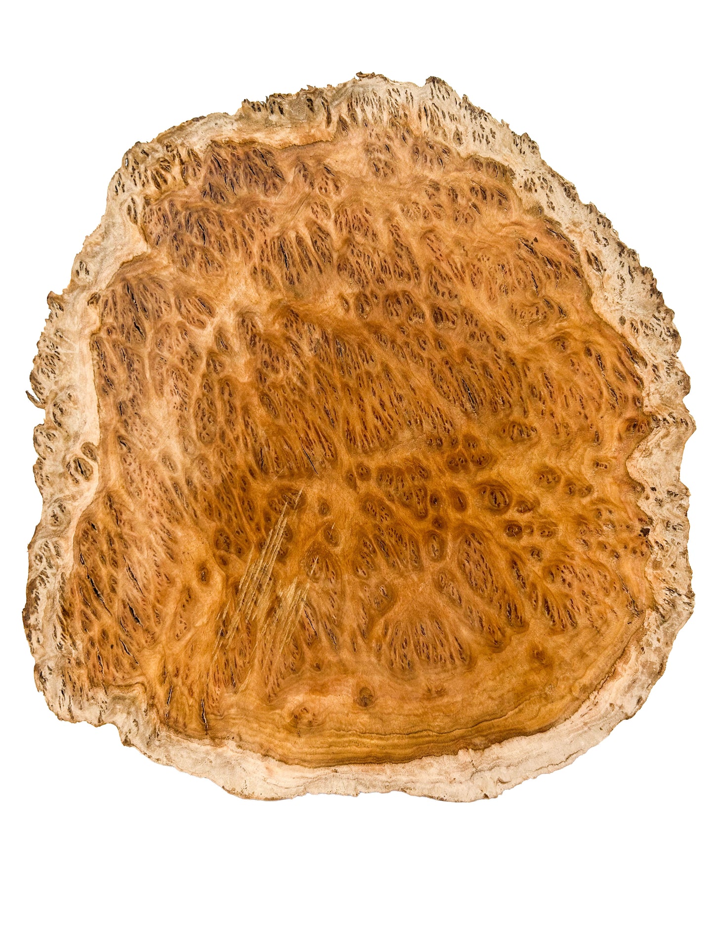Eucalyptus, Aussie Coolibah Burl Platter/Charcuterie Board - 12"x 11"x 1.1" WE1353