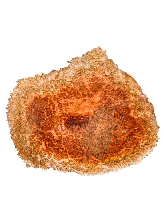 Eucalyptus, Aussie Concinna Burl Platter/Charcuterie Board - 14"x 11"x 1" WE1356