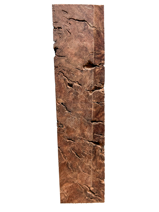 Australian Western Red Box Burl Knife Scales/Pistol Grips - 5.5" x 1.5" x 1" WE1368