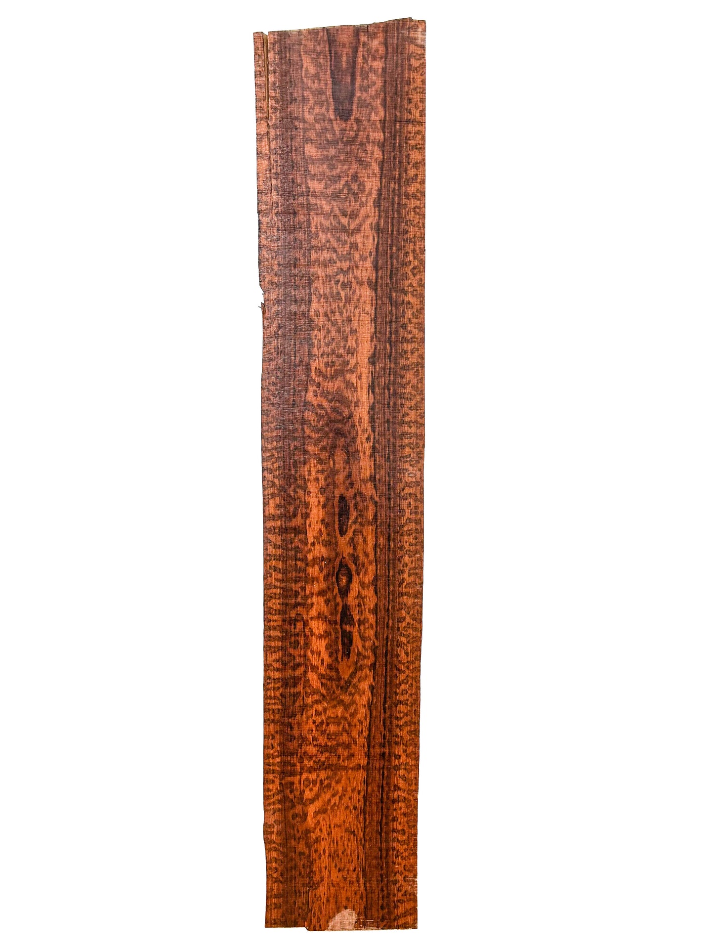 Snakewood PREMIUM FIGURE Lumber - 24" x 4.25" x 7/8" WE1378