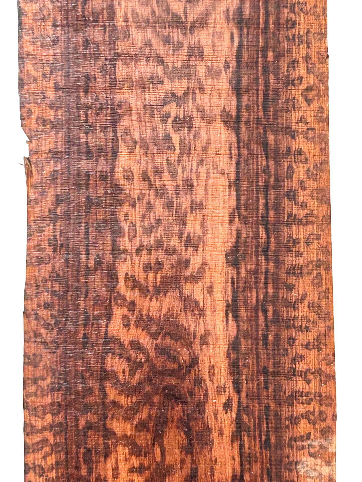 Snakewood PREMIUM FIGURE Lumber - 24" x 4.25" x 7/8" WE1378