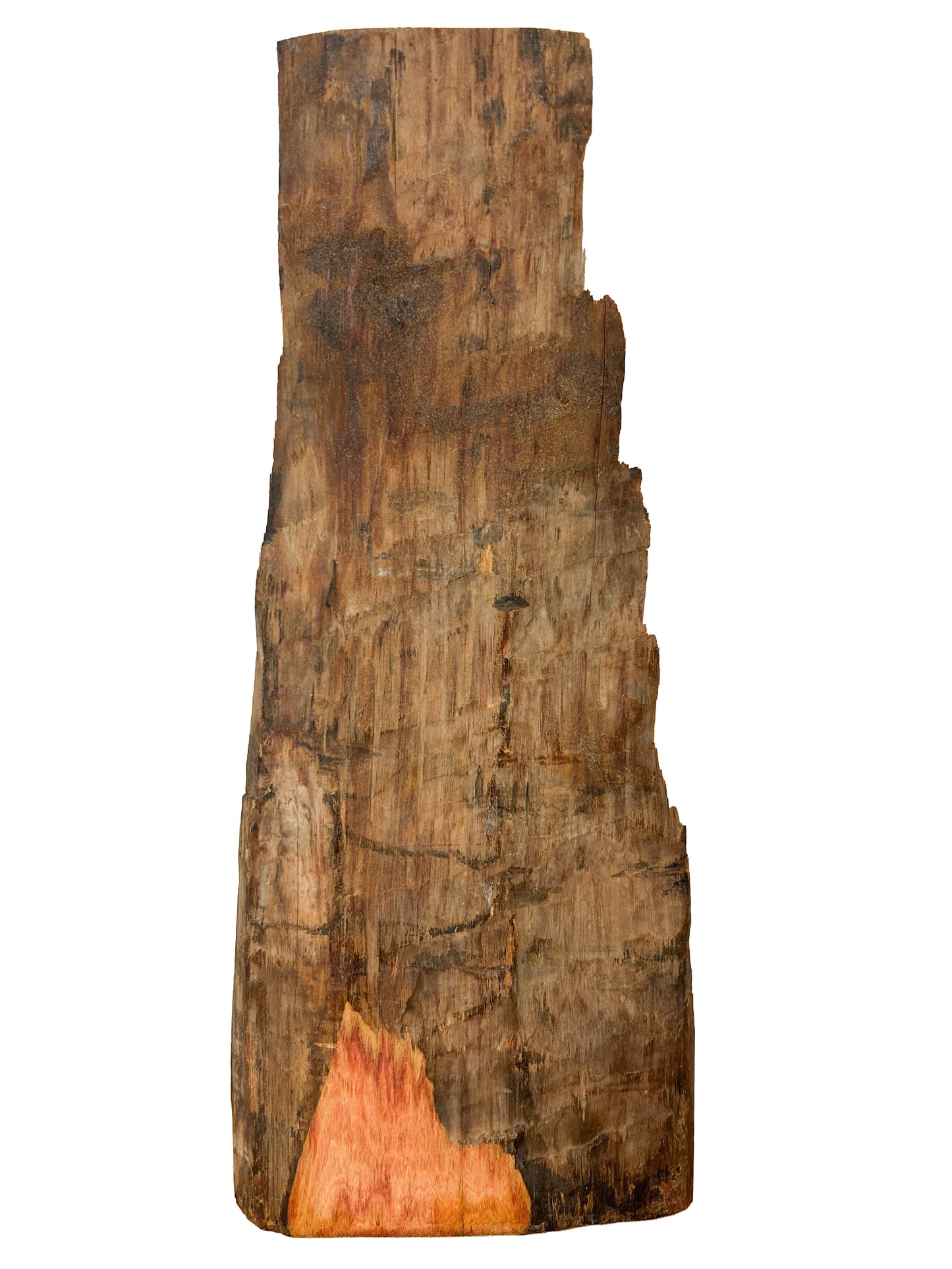 Tulipwood, Brazilian Lumber Thin - 13" x 5.5-3" x 1/2-1/8"  WE1389