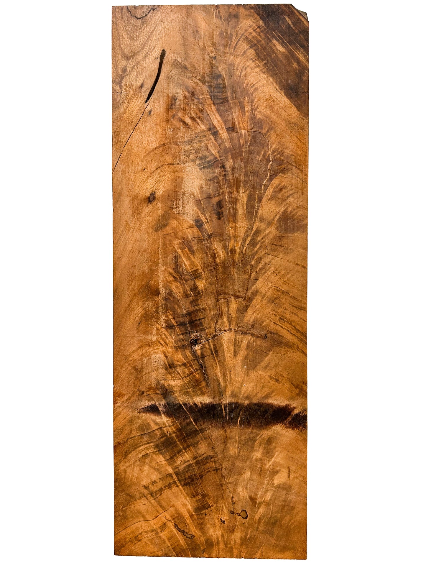 Goncalo Alves/Tigerwood Crotch High Figure - 17" x 6" x 3"  WE1398