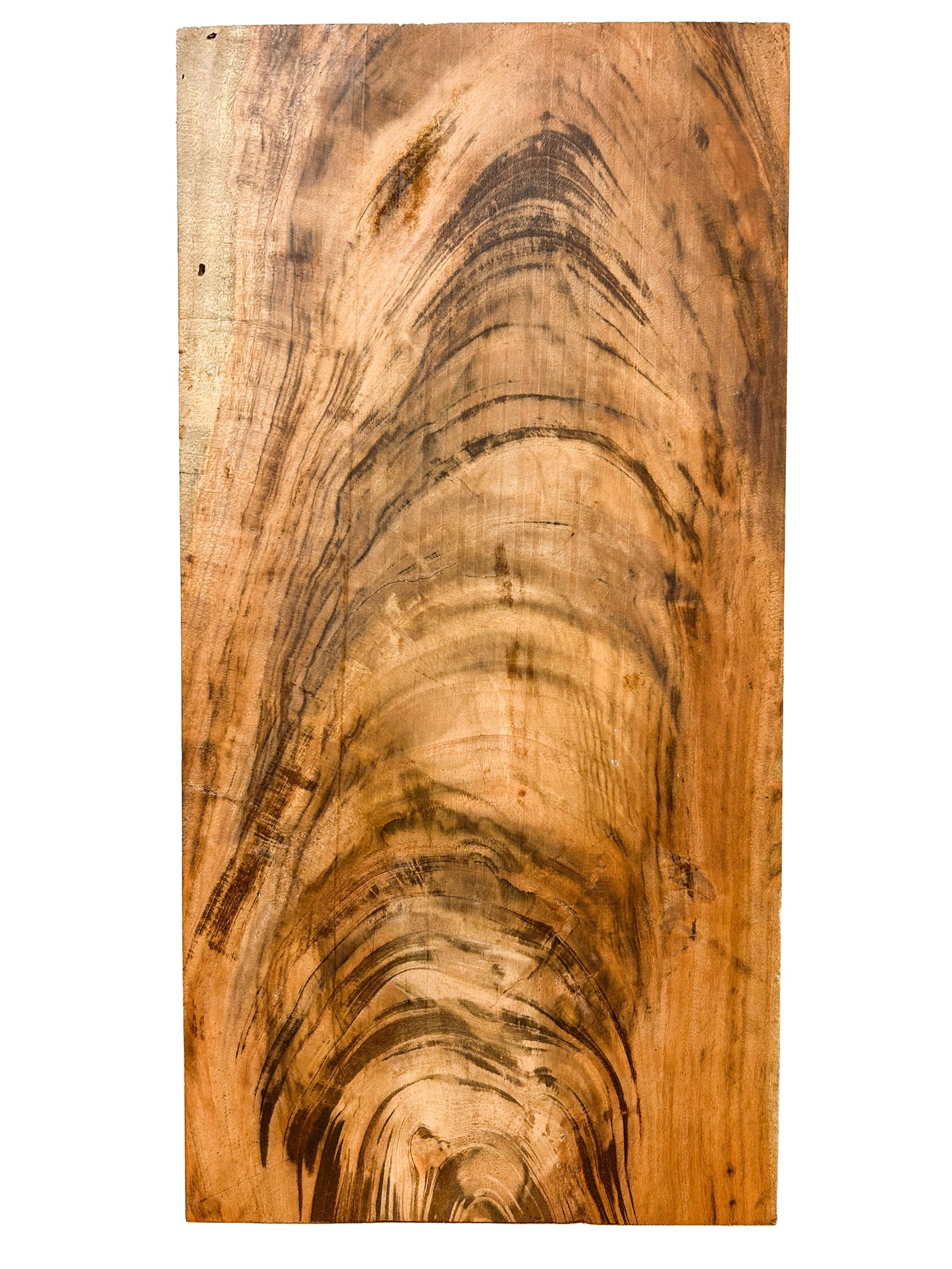 Goncalo Alves/Tigerwood CROTCH High Figure - 20" x 10" x 3"  WE1400