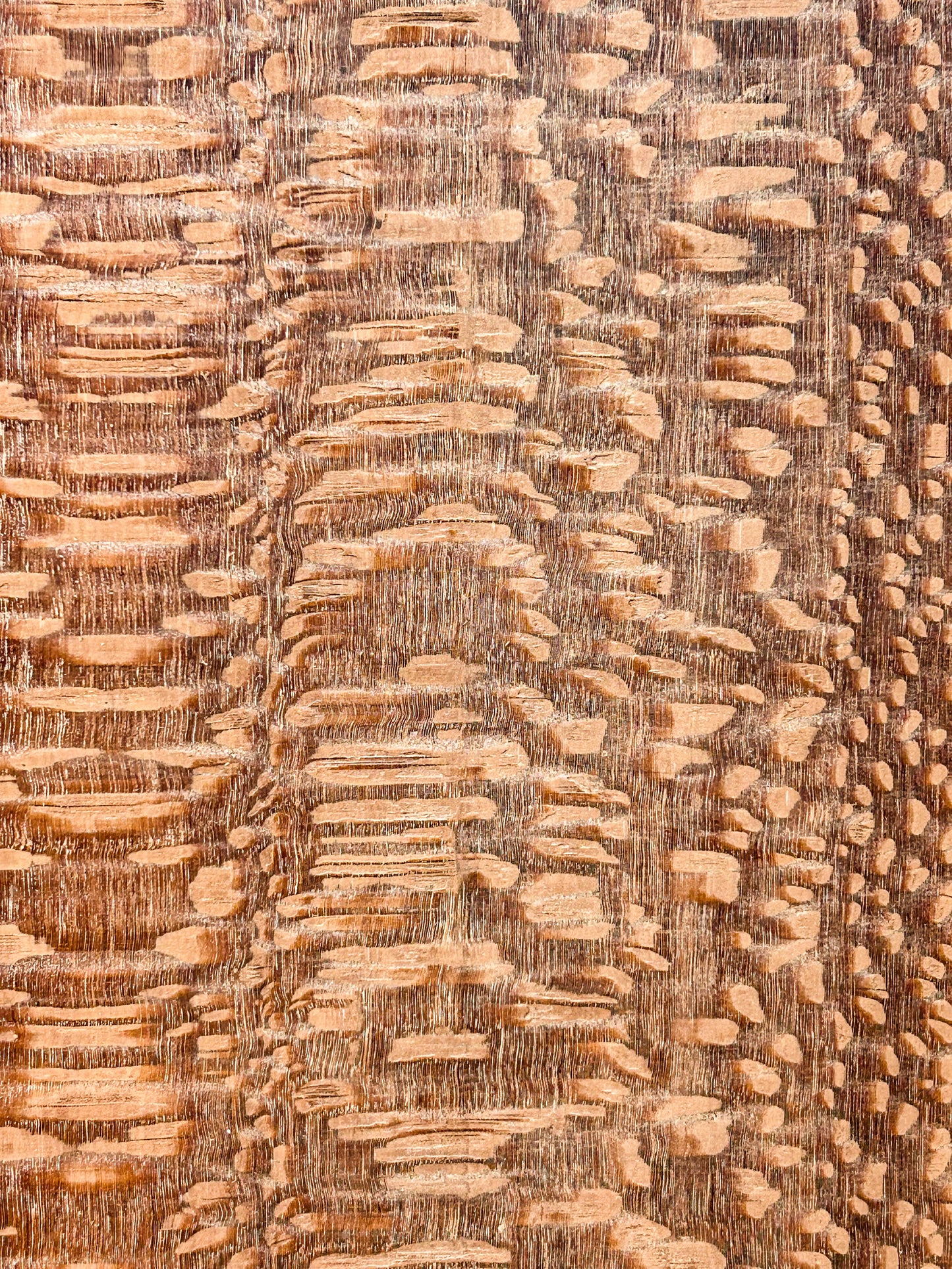 Leopardwood, great figure - 36.5"x 8"x .75" - WE1411