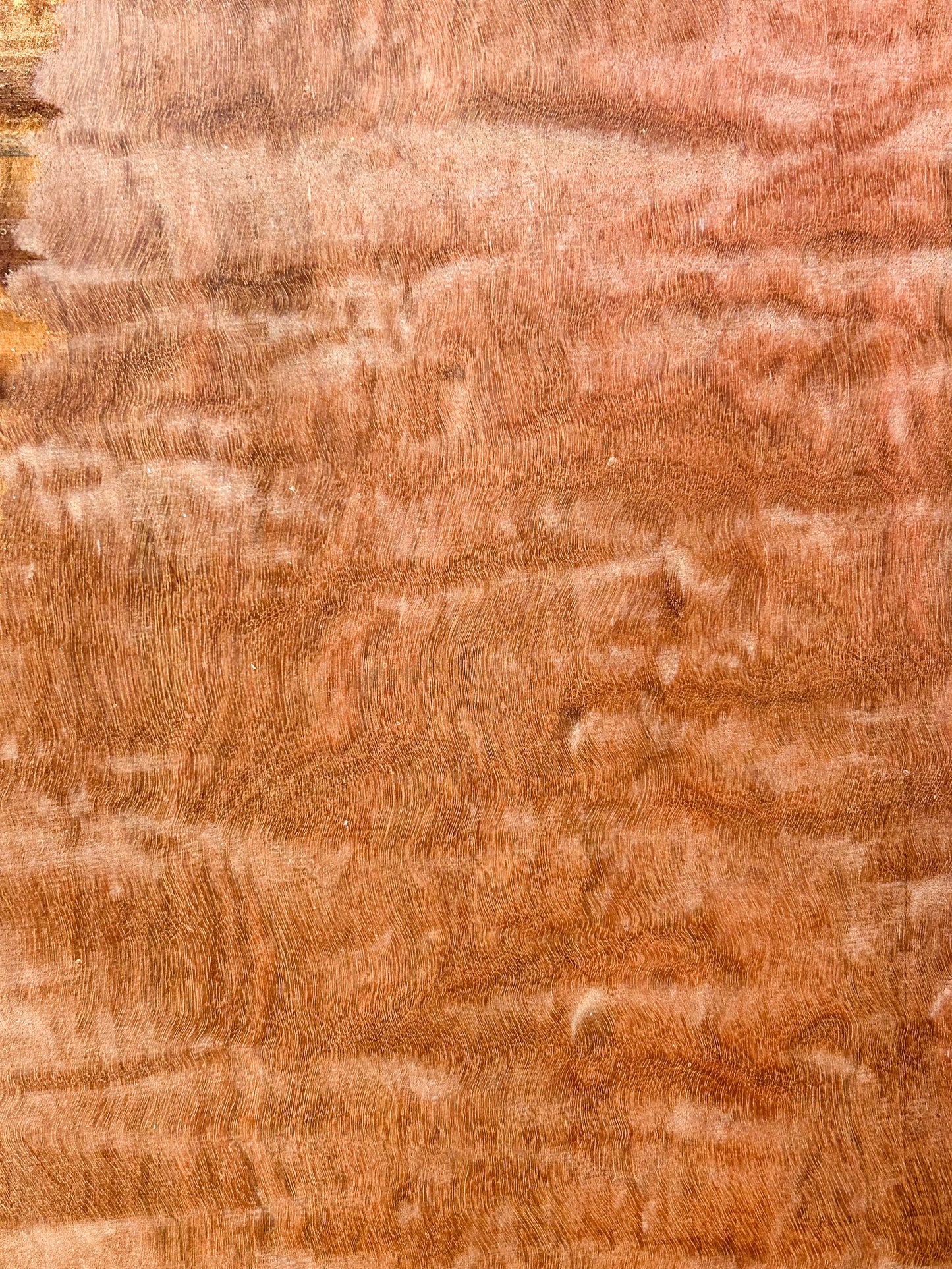 Massaranduba, Brazilian Redwood High Figure - 48"x 8.5"x 3/4"  WE1414