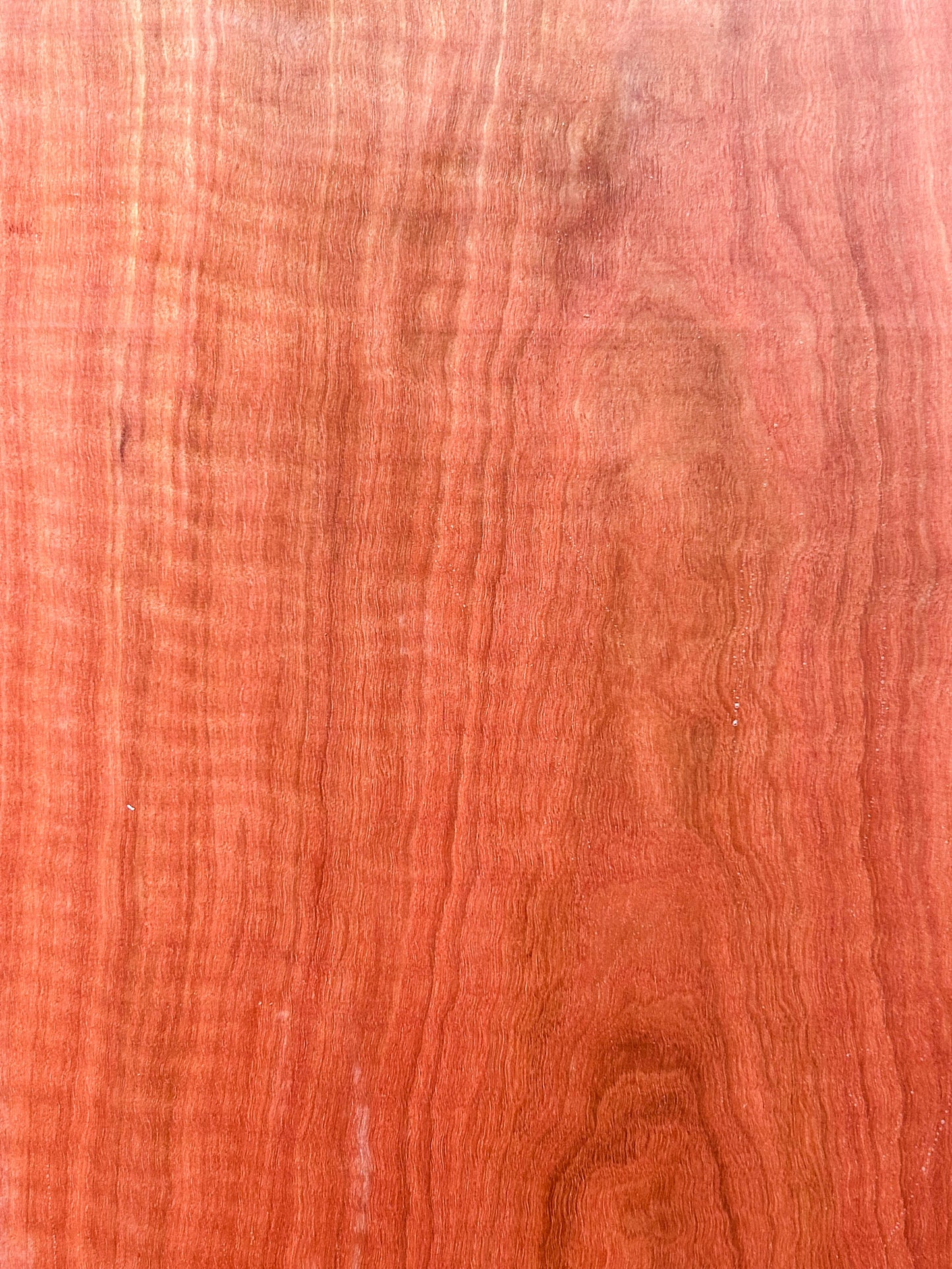 Massaranduba, Brazilian Redwood TIGHT CURL - 48"x 7-7/8"x 3/4"  WE1423