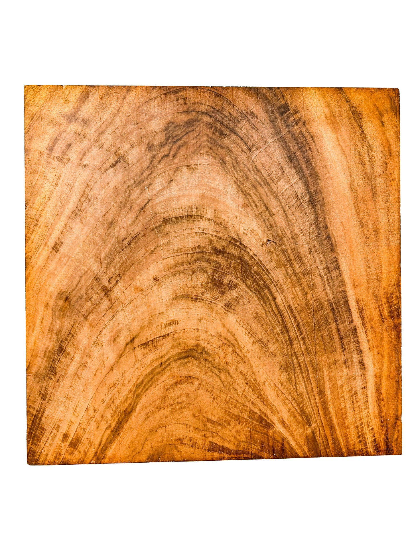 Goncalo Alves/Tigerwood CROTCH Figure Bowl Blank - 12" x 12" x 2"  WE1441
