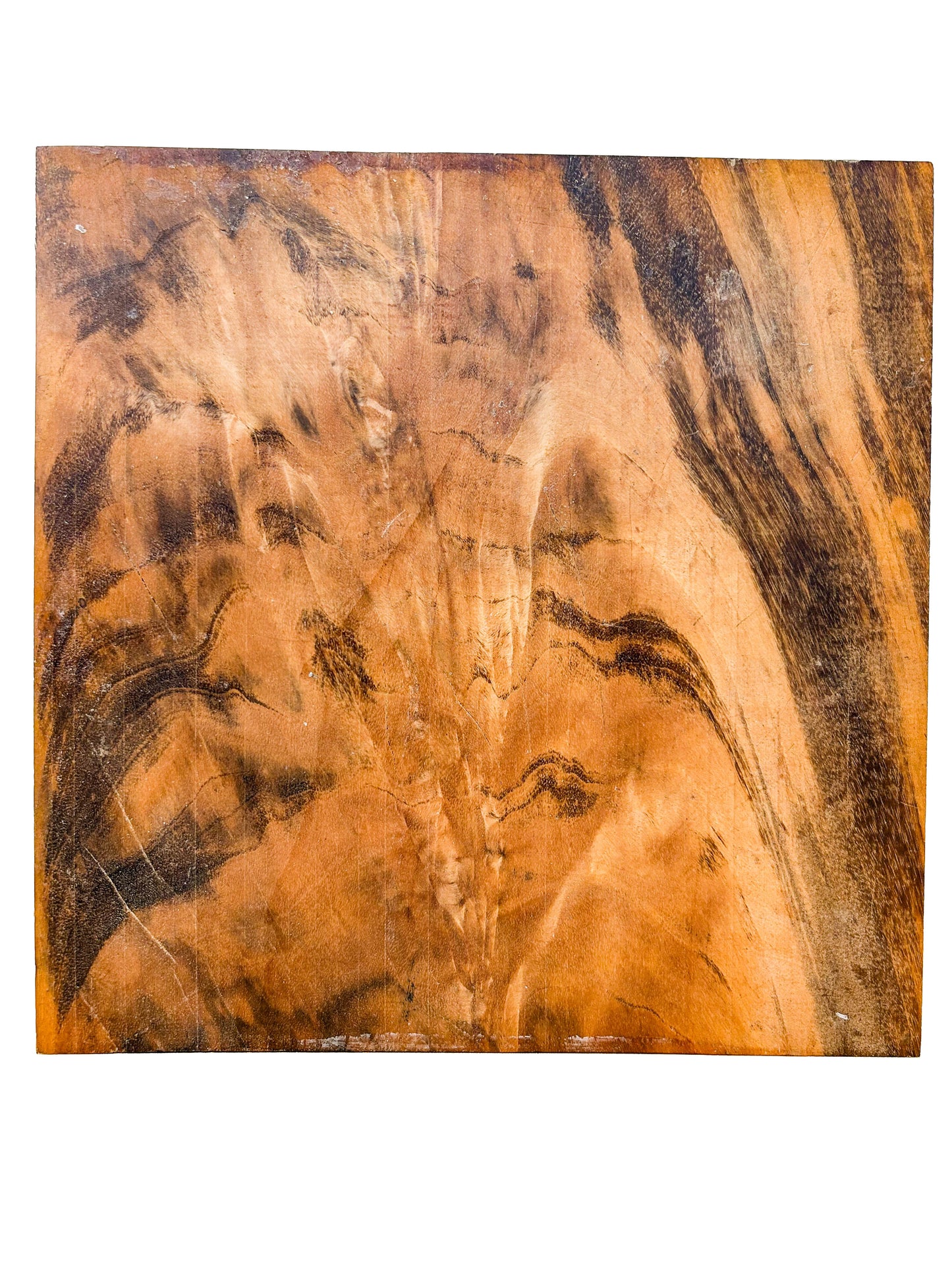 Goncalo Alves/Tigerwood CROTCH Figure Bowl Blank - 12" x 12" x 1.5"  WE1440