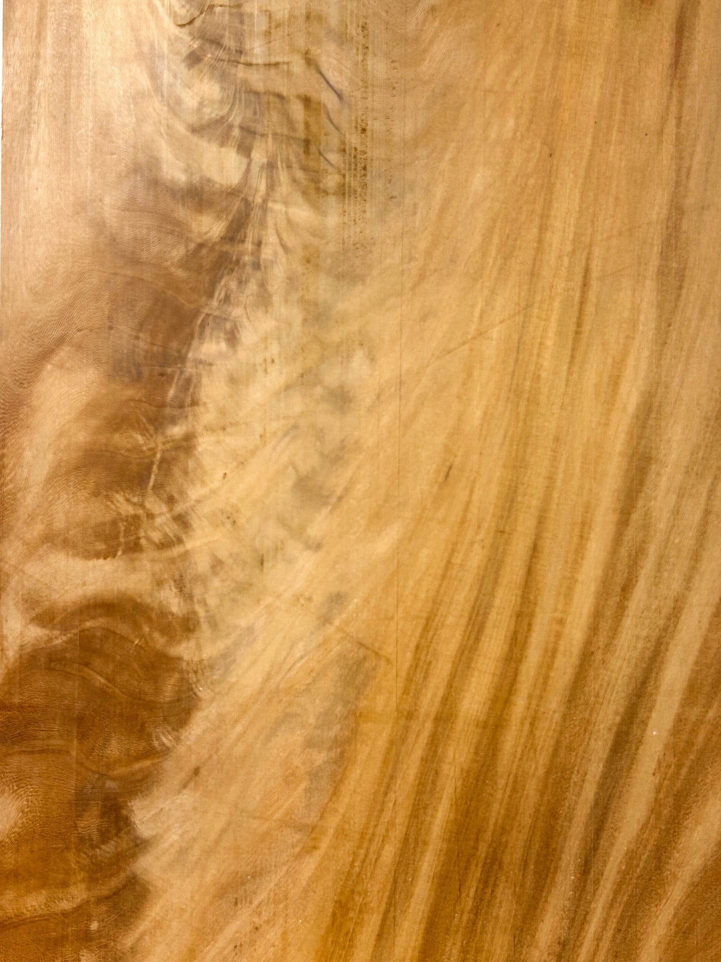 Garapa, Brazilian wide CROTCH high figured - 39" x 12" x 2"  WE1471